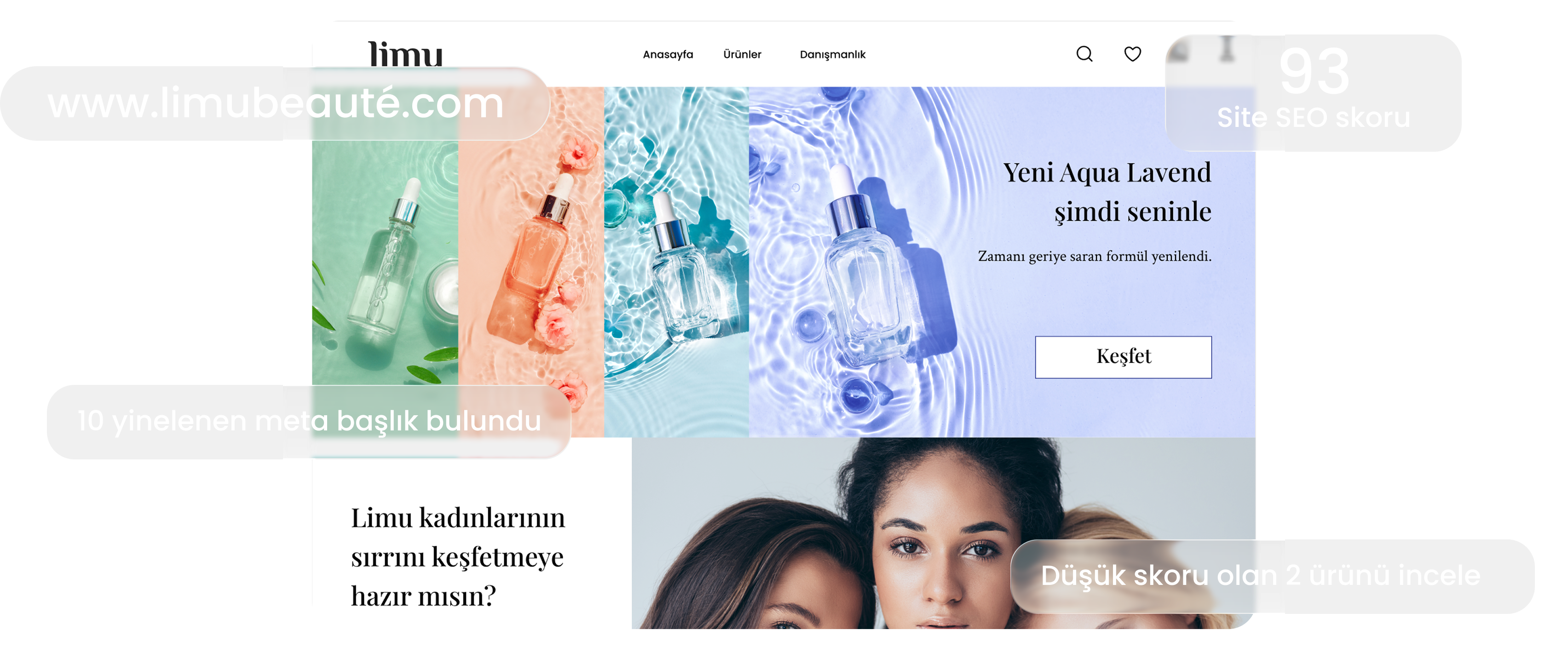 SEO skor paneli